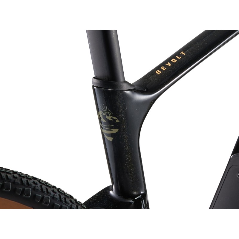 GIANT gravel ratas REVOLT ADVANCED 3 at sport must kuldne