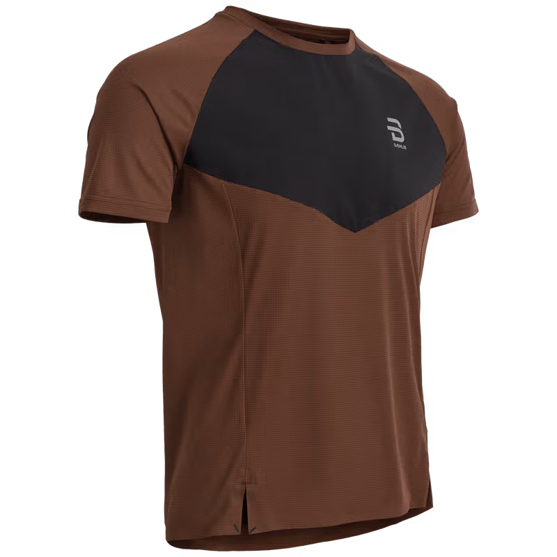 https://www.dahlie.com/eu/en/t-shirt-run-365-mens-chocolate/